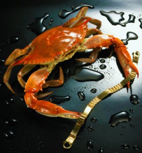 crab w jewelry crv